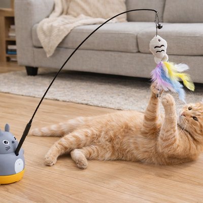 jouet Chat