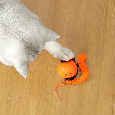 Balle interactive chat 