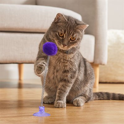 Jeu Chat