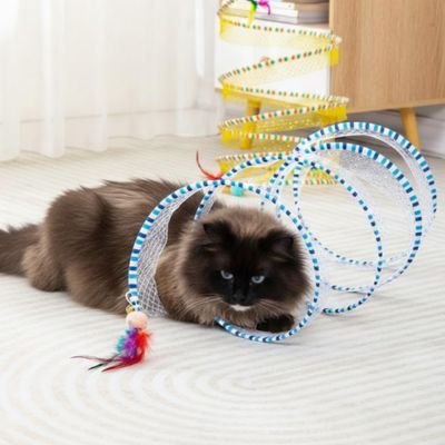 Jeux pour chat 