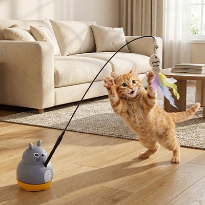 jouet Chat 